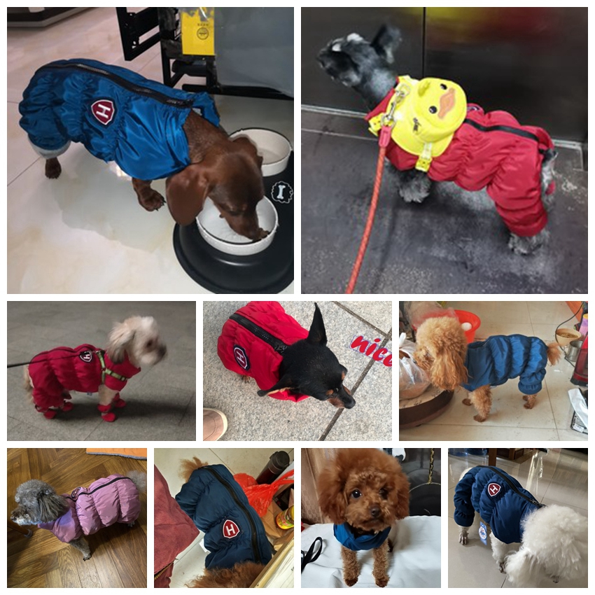 Cremallera nieve Unisex perro  - Winter Clothing For Babies reseña y precio
